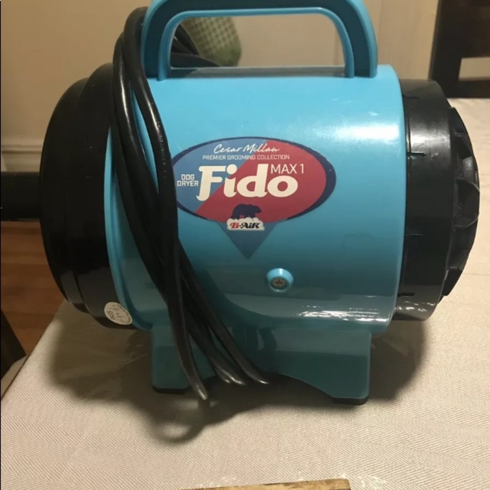 Dog/cat blow dryer